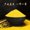 蔚嘉谷有机小米5斤五谷杂粮粥24年新米香糯小黄米蔚州贡米小米粥 /粮油调味 /杂粮 /谷米类 商品缩略图3