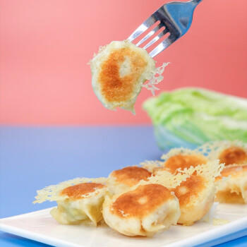 金沙河面粉 团圆饺子粉 饺子专用馒头烙饼面粉中式面点饺子粉5斤 /粮油调味 /面粉 /通用粉 商品图0