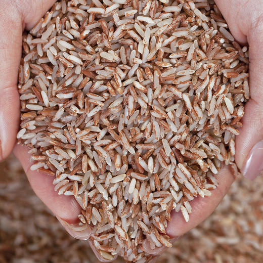 吉顺号食品 云南梯田红软米新米500克/袋 商品图2