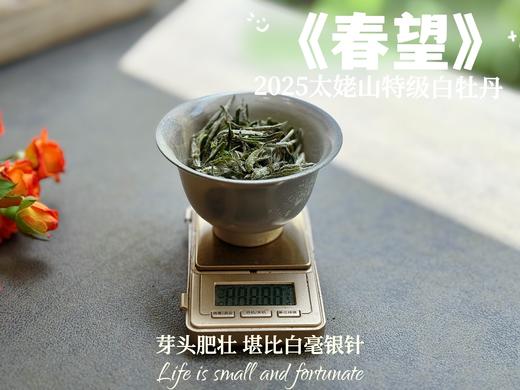 【2025春茶上市】2025特级白牡丹《春望》，弥漫着毫香与素雅花香，剥了叶子就是白毫银针，太像银针了 商品图5