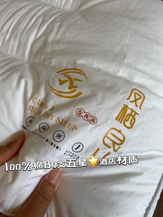 日单🇯🇵【凤栖良川】五星级酒店Deep sleep枕芯升级体验 商品图5