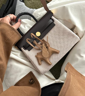 女款手提包bag mini