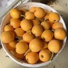 巴阳五星大枇杷，酸甜适中，家乡味道，快来尝鲜，大部分地区顺丰包邮 商品缩略图1