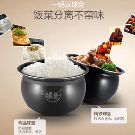 苏泊尔（SUPOR）电压力锅(510493)全自动智能预约6L家用煲汤易清洁双球釜内胆压力锅电饭煲高压锅4-8人SY-60FC07Q