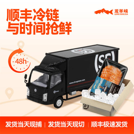 【冰鲜】【龙羊峡三文鱼】可生食刺身切片200g*2*3*4盒 高原大虹鳟甄选大鱼新鲜捕捞 商品图7