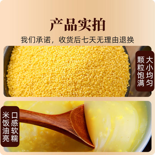 【牧香村  米香浓郁黄小米】五常市当季新小米！5斤一袋，口感香醇，清香四溢，粒粒饱满，米香浓郁！ 商品图2