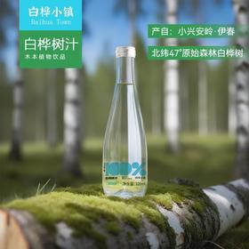 白桦小镇白桦树汁  甄选天然小兴安岭原始森林白桦树原汁 高端玻璃瓶