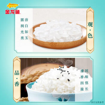 金龙鱼东北大米 臻选稻香贡米10斤 /粮油调味 /米 /小町米 商品图4