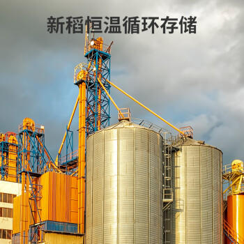 亲娘舅亲娘舅大米 2025年新米 锁鲜香稻米 现磨鲜米 20斤 珍珠米 粳米 /粮油调味 /米 /珍珠米 商品图1