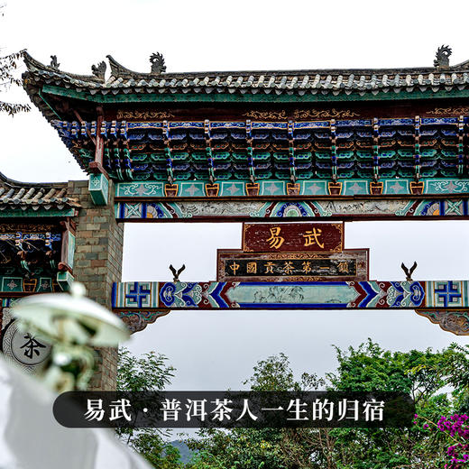 【古寨秘境七星级】2025年单株级别用料 斗茶级别的产品！古寨春店铺标杆巨作 易武茶区普洱茶生茶357克/饼 商品图2