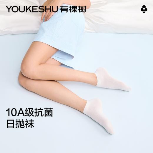 【新品上新】【日抛袜】有棵树女士短筒袜7双装-S3027 商品图2