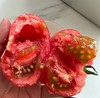 自产/有机种植 番茄/ 西红柿 大果型 粉果 商品缩略图0