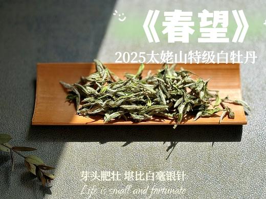 【2025春茶上市】2025特级白牡丹《春望》，弥漫着毫香与素雅花香，剥了叶子就是白毫银针，太像银针了 商品图1