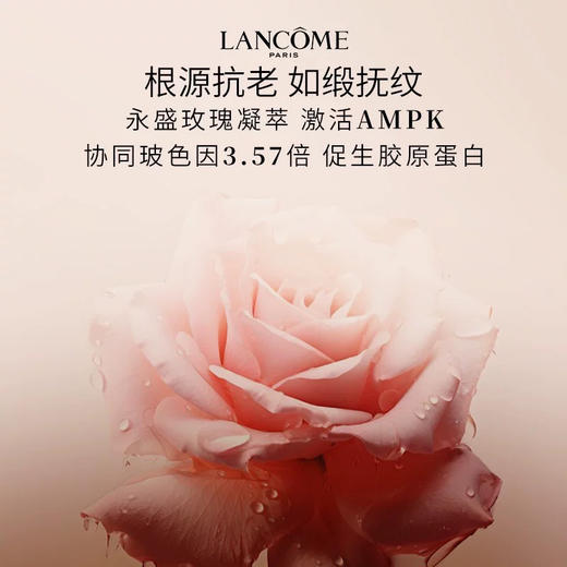 法国 LANCOME兰蔻 菁纯玫瑰焕亮抗氧精华爽肤水 150ml 商品图6