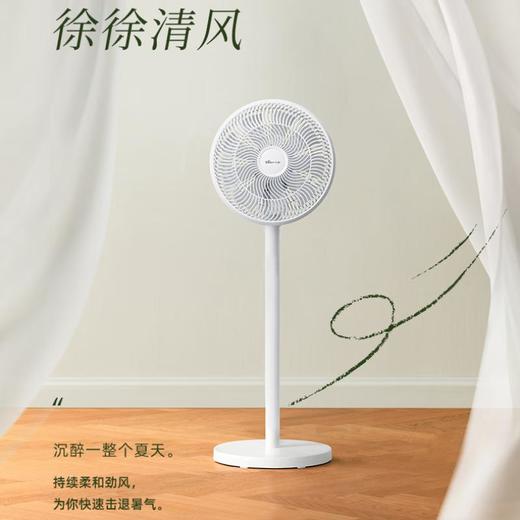 小熊 循环扇DFS-D40C3 商品图0