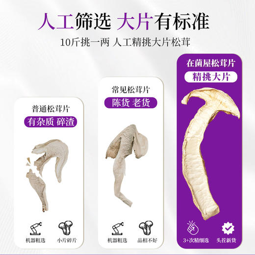 在菌屋 香格里拉野生松茸片100g/罐 片大肉厚 色泽纯正 口感如鲍鱼般鲜嫩 商品图2
