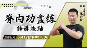【5月12日】脊内功盘练（转珠滚轴）