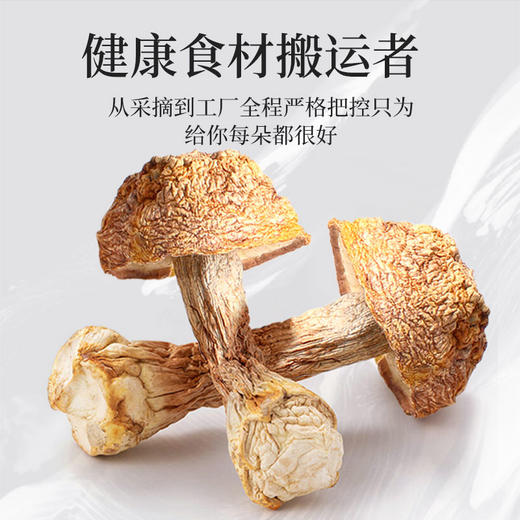 在菌屋 原色无硫姬松茸250g/罐 色泽棕黄 无熏硫无添加 浓郁杏仁香 商品图1