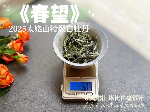 【2025春茶上市】2025特级白牡丹《春望》，弥漫着毫香与素雅花香，剥了叶子就是白毫银针，太像银针了 商品图4