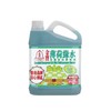 【悦惠精选】金宝薄荷绿水清洁剂2.5L*2 商品缩略图0