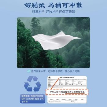 马应龙湿厕纸小包便携装12抽*20包 厕纸家庭装湿巾洁厕如厕湿纸巾 /家庭清洁/纸品 /清洁纸品 /湿厕纸 商品图2