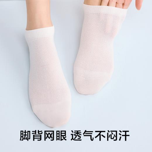 【新品上新】【日抛袜】有棵树女士短筒袜7双装-S3027 商品图5