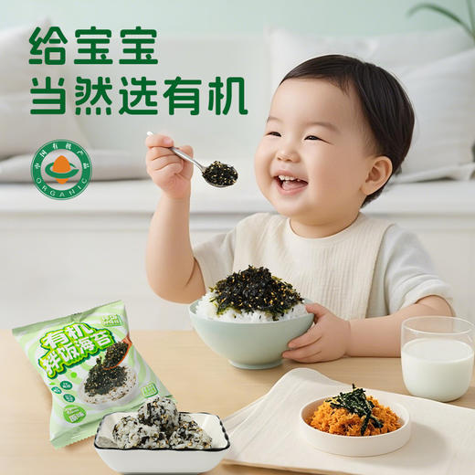 有机拌饭海苔（原味）100g（10g×10包） 商品图1