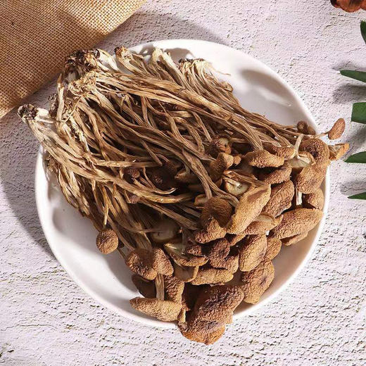 浙江丽水庆元县媛媛农业茶树菇250g/包 商品图0