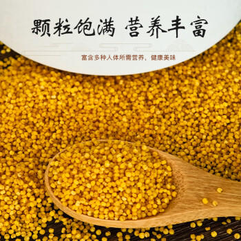 蔚嘉谷有机小米5斤五谷杂粮粥24年新米香糯小黄米蔚州贡米小米粥 /粮油调味 /杂粮 /谷米类 商品图0