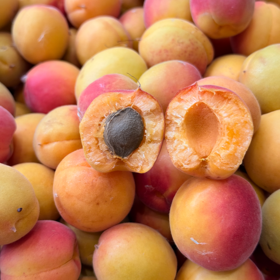 新鲜水果 酸甜可口丹江口龙山小黄杏  2斤装