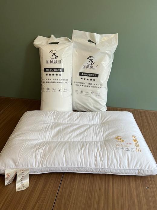 日单🇯🇵【凤栖良川】五星级酒店Deep sleep枕芯升级体验 商品图1