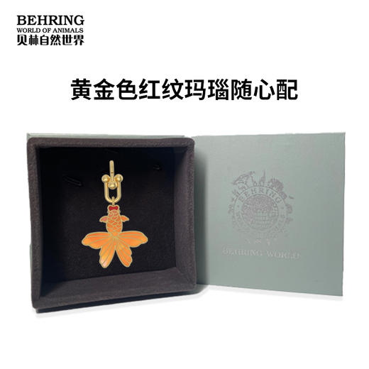 贝林自然世界-遇福鱼系列白蝶贝随心配 商品图1