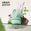 【预售1周发货】精油驱蚊盒【驱蚊专场】【植气叮叮植物防护盒】70天长效守护！天然植物精油，安全无害，无需插电，持续扩香！ 0427 商品缩略图2