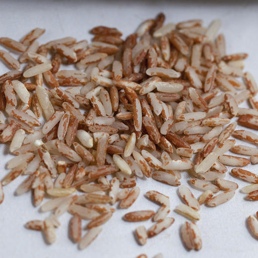 吉顺号食品 云南梯田红软米新米500克/袋 商品图5