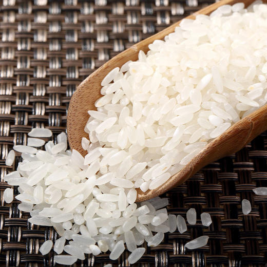 五芳斋 极稻·稻花香大米袋装 5公斤 商品图2