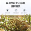 悦谷百味 山西黄小米礼盒6斤（中秋礼盒 山西特产粗粮杂粮节日公司福利） /粮油调味 /杂粮 /其他杂粮 商品缩略图7