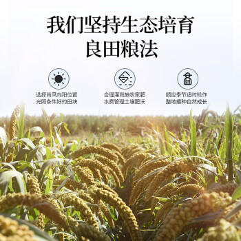 悦谷百味 山西黄小米礼盒6斤（中秋礼盒 山西特产粗粮杂粮节日公司福利） /粮油调味 /杂粮 /其他杂粮 商品图7