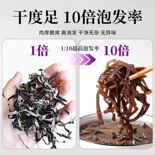 在菌屋 精品白背木耳丝200g/罐 肉质肥厚 口感脆嫩 10倍高泡发率 商品图2