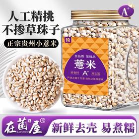 在菌屋 正宗贵州小薏米900g/罐 百年梯田老品种 颗颗去壳 软糯好煮