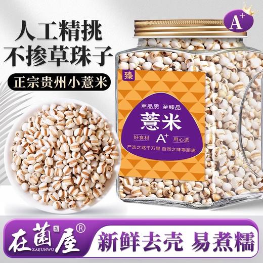 在菌屋 正宗贵州小薏米900g/罐 百年梯田老品种 颗颗去壳 软糯好煮 商品图0
