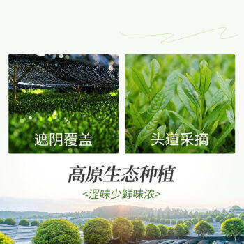 贵茶 贵州高原抹茶粉 欧盟标准冲饮布丁蛋糕国产铜仁烘焙 绿初 /粮油调味 /烘焙原料 /烘焙粉 商品图7