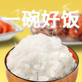 稻盛美碱地香米500g*3 新米 红海滩1号 寿司米 盘锦大米东北米3斤  /粮油调味 /米 /珍珠米