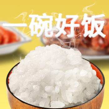 稻盛美碱地香米500g*3 新米 红海滩1号 寿司米 盘锦大米东北米3斤  /粮油调味 /米 /珍珠米 商品图0