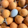 巴阳五星大枇杷，酸甜适中，家乡味道，快来尝鲜，大部分地区顺丰包邮 商品缩略图2
