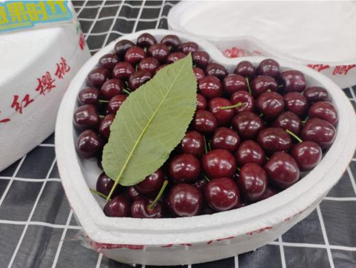 心形特大美早樱桃一箱 商品图2