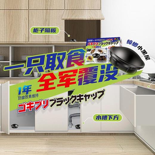 日本叮叮 蟑螂小钢帽（6个装） 商品图1