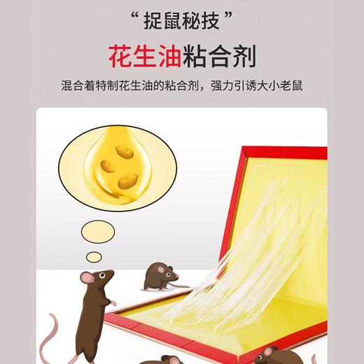 ARS安速 老鼠吱吱板（2枚装） 商品图2