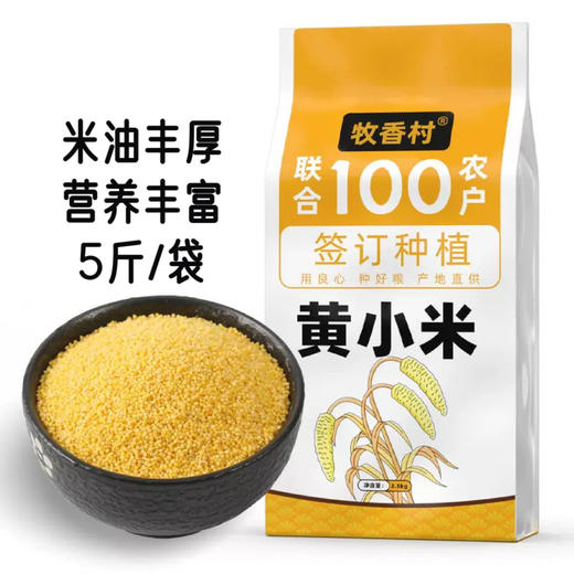 【牧香村  米香浓郁黄小米】五常市当季新小米！5斤一袋，口感香醇，清香四溢，粒粒饱满，米香浓郁！ 商品图4