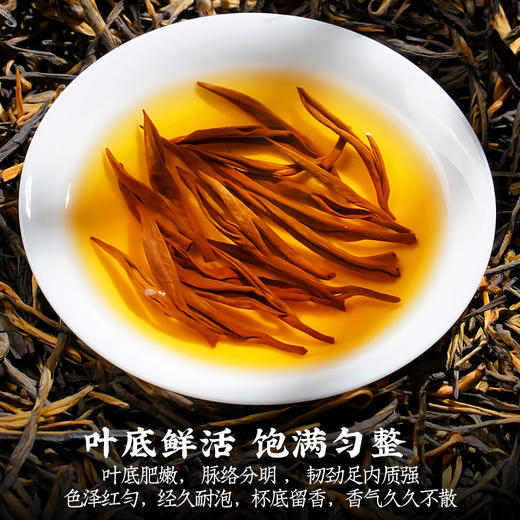 云南红茶 滇红小松针 哈乃菲茶叶 商品图2