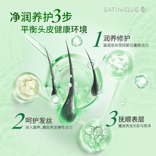 丝婷净护调理二合一洗发露/适用短发/适用所有发质/适合每天使用/富含VE/玻璃苣籽油/柔顺润泽 商品图7